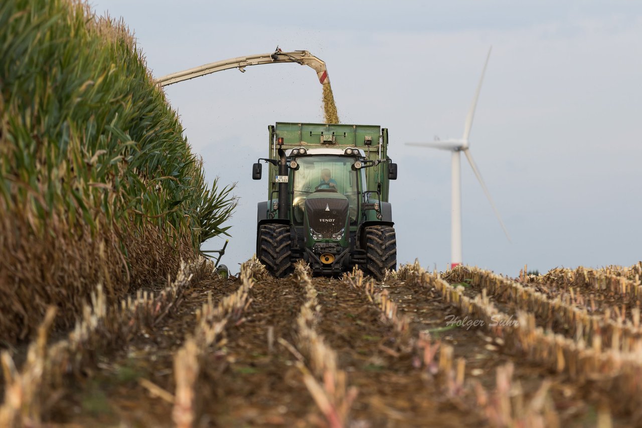 Bild 85 - Maisernte 2016